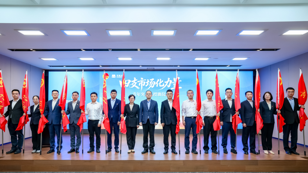 图8.png 加拿大PC28